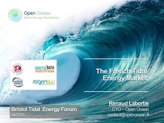 The French Tidal
Energy Market
Bristol Tidal Energy Forum
04/2014
Renaud Laborbe
CTO – Open Ocean
contact@openocean.fr
 