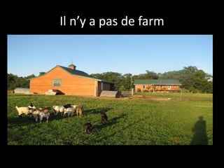 Il n’y a pas de farm