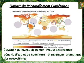 Danger du Réchauffement Planétaire :




- Élévation du niveau de la mer - mauvaises récoltes
- pénurie d’eau et de nourriture - changement dramatique
  des écosystèmes.
 