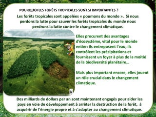 POURQUOI LES FORÊTS TROPICALES SONT SI IMPORTANTES ?
Les forêts tropicales sont appelées « poumons du monde ». Si nous
 perdons la lutte pour sauver les forêts tropicales du monde nous
         perdrons la lutte contre le changement climatique.

                                 Elles procurent des avantages
                                 d’écosystème, vital pour le monde
                                 entier: ils entreposent l'eau, ils
                                 contrôlent les précipitations et
                                 fournissent un foyer à plus de la moitié
                                 de la biodiversité planétaire…

                                 Mais plus important encore, elles jouent
                                 un rôle crucial dans le changement
                                 climatique.


Des milliards de dollars par an sont maintenant engagés pour aider les
pays en voie de développement à arrêter la destruction de la forêt, à
acquérir de l'énergie propre et à s'adapter au changement climatique.
 