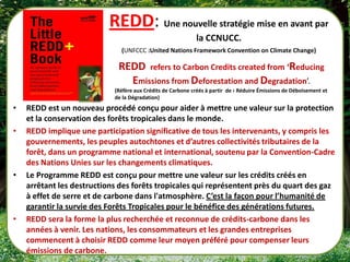 REDD: Une nouvelle stratégie mise en avant par
                                                             la CCNUCC.
                              (UNFCCC :United Nations Framework Convention on Climate Change)

                             REDD refers to Carbon Credits created from ‘Reducing
                               Emissions from Deforestation and Degradation’.
                            (Réfère aux Crédits de Carbone créés à partir de ‹ Réduire Émissions de Déboisement et
                            de la Dégradation)
•   REDD est un nouveau procédé conçu pour aider à mettre une valeur sur la protection
    et la conservation des forêts tropicales dans le monde.
•   REDD implique une participation significative de tous les intervenants, y compris les
    gouvernements, les peuples autochtones et d’autres collectivités tributaires de la
    forêt, dans un programme national et international, soutenu par la Convention-Cadre
    des Nations Unies sur les changements climatiques.
•   Le Programme REDD est conçu pour mettre une valeur sur les crédits créés en
    arrêtant les destructions des forêts tropicales qui représentent près du quart des gaz
    à effet de serre et de carbone dans l'atmosphère. C’est la façon pour l’humanité de
    garantir la survie des Forêts Tropicales pour le bénéfice des générations futures.
•   REDD sera la forme la plus recherchée et reconnue de crédits-carbone dans les
    années à venir. Les nations, les consommateurs et les grandes entreprises
    commencent à choisir REDD comme leur moyen préféré pour compenser leurs
    émissions de carbone.
 