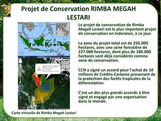 Projet de Conservation RIMBA MEGAH
                    LESTARI
                                         Le projet de conservation de Rimba
                                         Megah Lestari est le plus important projet
                                         de conservation en Indonésie, à ce jour.

                                         La zone du projet total est de 250.000
                                         hectares, avec une zone forestière de
                                         227.000 hectares, dont plus de 180.000
                                         hectares sont déjà considérés comme
                                         zone de conservation.

                                         CCN a signé un accord pour l'achat de 10
                                         millions de Crédits-Carbone provenant de
                                         la protection des forêts tropicales de la
                                         déforestation.

                                         C'est un des plus grands accords à être
                                         signé et engagé par une organisation
                                         dans le monde.

Carte virtuelle de Rimba Megah Lestari
 