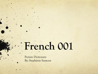 French 001 Picture Dictionary By: Stephanie Sanyour 