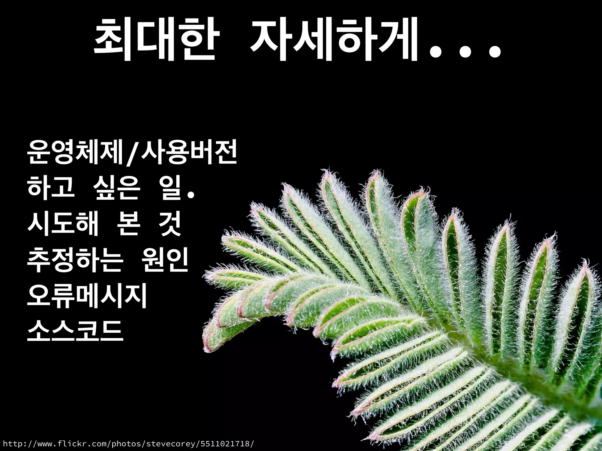 최대한 자세하게...
운영체제/사용버전
하고 싶은 일.
시도해 본 것
추정하는 원인
오류메시지
소스코드
http://www.flickr.com/photos/stevecorey/5511021718/
 