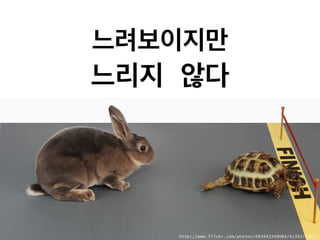 느려보이지만
느리지 않다
http://www.flickr.com/photos/88394234@N04/8139271342/
 