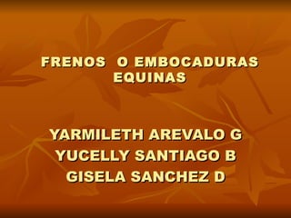 FRENOS  O EMBOCADURAS EQUINAS YARMILETH AREVALO G YUCELLY SANTIAGO B GISELA SANCHEZ D 