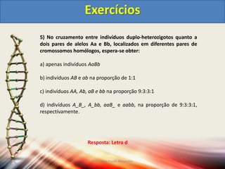 5) No cruzamento entre indivíduos duplo-heterozigotos quanto a
dois pares de alelos Aa e Bb, localizados em diferentes pares de
cromossomos homólogos, espera-se obter:
a) apenas indivíduos AaBb
b) indivíduos AB e ab na proporção de 1:1
c) indivíduos AA, Ab, aB e bb na proporção 9:3:3:1
d) indivíduos A_B_, A_bb, aaB_ e aabb, na proporção de 9:3:3:1,
respectivamente.
Exercícios
Resposta: Letra d
Prof Zayra Prado Almondes
 