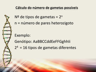 Cálculo do número de gametas possíveis
Nº de tipos de gametas = 2n
n = número de pares heterozigoto
Exemplo:
Genótipo: AaBBCCddEeFFGghhIi
24 = 16 tipos de gametas diferentes
Prof Zayra Prado Almondes
 