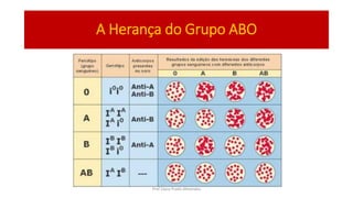 A Herança do Grupo ABO
Prof Zayra Prado Almondes
 