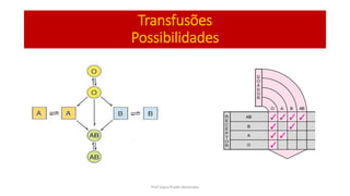 Transfusões
Possibilidades
Prof Zayra Prado Almondes
 