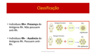 Classificação
• Indivíduos Rh+: Presença do
Antígeno Rh. Não possuem
anti-Rh.
• Indivíduos Rh- : Ausência do
Antígeno Rh. Possuem anti-
Rh.
Prof Zayra Prado Almondes
 