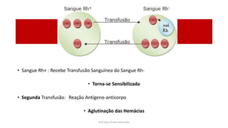 Transfusão
• Sangue Rh+ : Recebe Transfusão Sanguínea do Sangue Rh-
• Torna-se Sensibilizada
• Segunda Transfusão: Reação Antígeno-anticorpo
• Aglutinação das Hemácias
Prof Zayra Prado Almondes
 