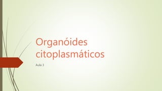 Organóides
citoplasmáticos
Aula 3
 
