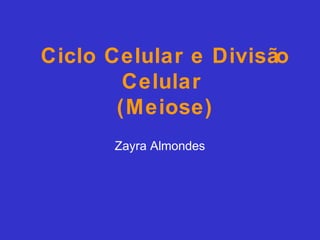 Ciclo Celular e Divisão
Celular
(Meiose)
Zayra Almondes
 