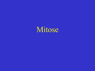 Mitose
 
