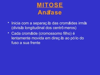 MITOSE
Anáfase
• Inicia com a separaç ão das cromátides irmãs
(divisão longitudinal dos centrô meros)
• Cada cromátide (cromossomo filho) é
lentamente movida em direç ão ao pó lo do
fuso a sua frente
 