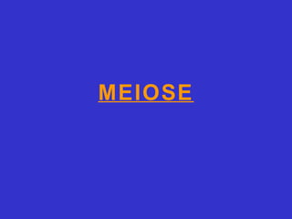 MEIOSE
 