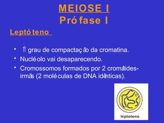 MEIOSE I
Pró fase I
• ⇑ grau de compactaç ão da cromatina.
• Nucléolo vai desaparecendo.
• Cromossomos formados por 2 cromátides-
irmãs (2 moléculas de DNA idênticas).
Leptó teno
 