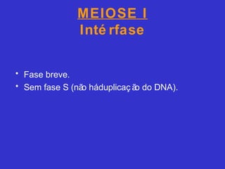 MEIOSE I
Inté rfase
• Fase breve.
• Sem fase S (não háduplicaç ão do DNA).
 
