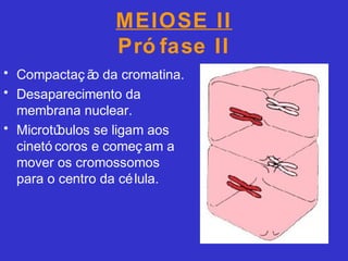 MEIOSE II
Pró fase II
• Compactaç ão da cromatina.
• Desaparecimento da
membrana nuclear.
• Microtúbulos se ligam aos
cinetó coros e começ am a
mover os cromossomos
para o centro da célula.
 