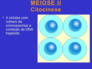 MEIOSE II
Citocinese
• 4 células com
número de
cromossomos e
conteúdo de DNA
haploide.
 
