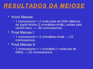 RESULTADOS DA MEIOSE
• Início Meiose:
– 1 cromossomo = 2 moléculas de DNA idênticas,
de dupla hélice (2 cromátides-irmãs), unidas pelo
centrô mero: → 46 cromossomos.
• Final Meiose I:
– 1 cromossomo = 2 cromátides-irmãs: → 23
cromossomos.
• Final Meiose II:
– 1 cromossomo = 1 cromátide (1 molécula de
DNA): → 23 cromossomos.
 