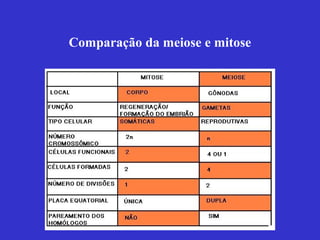 Comparação da meiose e mitose
 