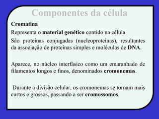 Componentes da célula
Cromatina
Representa o material genético contido na célula.
São proteínas conjugadas (nucleoproteínas), resultantes
da associação de proteínas simples e moléculas de DNA.
Aparece, no núcleo interfásico como um emaranhado de
filamentos longos e finos, denominados cromonemas.
Durante a divisão celular, os cromonemas se tornam mais
curtos e grossos, passando a ser cromossomos.
 