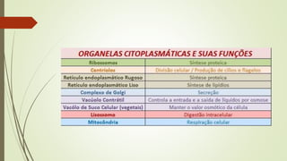 Frente 1 modulo 1 organizacao dos seres vivos | PPTX