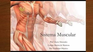 Prof Zayra Almondes 
Sistema Muscular 
Prof ZayraAlmondes 
ColégioBatista de Mantena 
PréVestibular Objetivo  