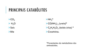 PRINCIPAISCATABÓLITOS 
CO2 
H2O 
Sais 
Bile 
NH3* 
CO(NH2)2(ureia)* 
C5H4N4O3(ácido úrico) * 
Creatinina. 
*Provenientes do metabolismo dos aminoácidos.  