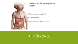 FUNÇÕES DA B3
 