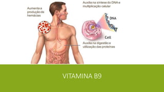 VITAMINA B9
 