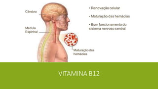 VITAMINA B12
 