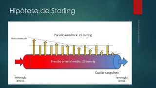 Hipótese de Starling
 