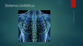 Sistema Linfático
 