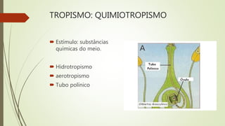 TROPISMO: QUIMIOTROPISMO
 Estímulo: substâncias
químicas do meio.
 Hidrotropismo
 aerotropismo
 Tubo polínico
 