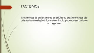 TACTISMOS
Movimentos de deslocamento de células ou organismos que são
orientados em relação à fonte de estímulo, podendo ser positivos
ou negativos.
 