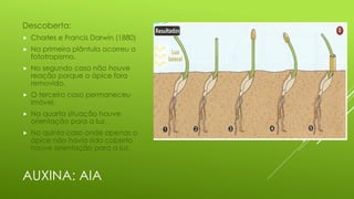 AUXINA: AIA
Descoberta:
 Charles e Francis Darwin (1880)
 Na primeira plântula ocorreu o
fototropismo.
 No segundo caso não houve
reação porque o ápice fora
removido.
 O terceiro caso permaneceu
imóvel.
 Na quarta situação houve
orientação para a luz.
 No quinto caso onde apenas o
ápice não havia sido coberto
houve orientação para a luz.
 