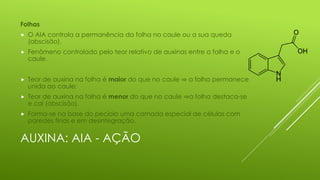 AUXINA: AIA - AÇÃO
Folhas
 O AIA controla a permanência da folha no caule ou a sua queda
(abscisão).
 Fenômeno controlado pelo teor relativo de auxinas entre a folha e o
caule.
 Teor de auxina na folha é maior do que no caule ⇒ a folha permanece
unida ao caule;
 Teor de auxina na folha é menor do que no caule ⇒a folha destaca-se
e cai (abscisão).
 Forma-se na base do pecíolo uma camada especial de células com
paredes finas e em desintegração.
 