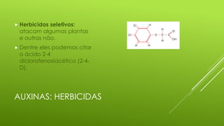 AUXINAS: HERBICIDAS
 Herbicidas seletivos:
atacam algumas plantas
e outras não.
 Dentre eles podemos citar
o ácido 2-4
diclorofenoxiacético (2-4-
D).
 