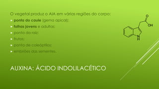 AUXINA: ÁCIDO INDOLILACÉTICO
O vegetal produz o AIA em várias regiões do corpo:
 ponta do caule (gema apical);
 folhas jovens e adultas;
 ponta da raiz;
 frutos;
 ponta de coleóptilos;
 embriões das sementes.
 