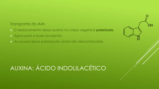 AUXINA: ÁCIDO INDOLILACÉTICO
Transporte do AIA:
 O deslocamento dessa auxina no corpo vegetal é polarizado.
 Ápice para a base da planta.
 As causas dessa polarização ainda são desconhecidas.
 