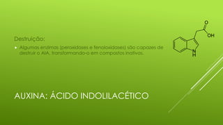 AUXINA: ÁCIDO INDOLILACÉTICO
Destruição:
 Algumas enzimas (peroxidases e fenoloxidases) são capazes de
destruir o AIA, transformando-o em compostos inativos.
 