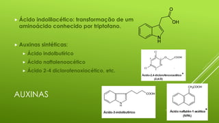 AUXINAS
 Ácido indolilacético: transformação de um
aminoácido conhecido por triptofano.
 Auxinas sintéticas:
 Ácido indolbutírico
 Ácido naftalenoacético
 Ácido 2-4 diclorofenoxiacético, etc.
 