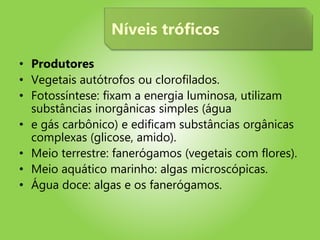 • Produtores
• Vegetais autótrofos ou clorofilados.
• Fotossíntese: fixam a energia luminosa, utilizam
substâncias inorgânicas simples (água
• e gás carbônico) e edificam substâncias orgânicas
complexas (glicose, amido).
• Meio terrestre: fanerógamos (vegetais com flores).
• Meio aquático marinho: algas microscópicas.
• Água doce: algas e os fanerógamos.
Níveis tróficos
 