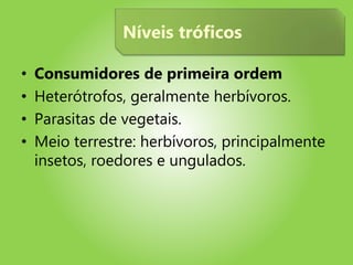 • Consumidores de primeira ordem
• Heterótrofos, geralmente herbívoros.
• Parasitas de vegetais.
• Meio terrestre: herbívoros, principalmente
insetos, roedores e ungulados.
Níveis tróficos
 