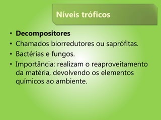 • Decompositores
• Chamados biorredutores ou saprófitas.
• Bactérias e fungos.
• Importância: realizam o reaproveitamento
da matéria, devolvendo os elementos
químicos ao ambiente.
Níveis tróficos
 