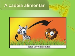 A cadeia alimentar
 