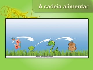 A cadeia alimentar
 